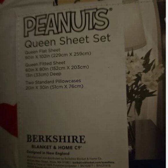 Peanuts Snoopy Hearts QUEEN Sheets Charlie Brown Valentine's Four Piece Set - Picture 3 of 5